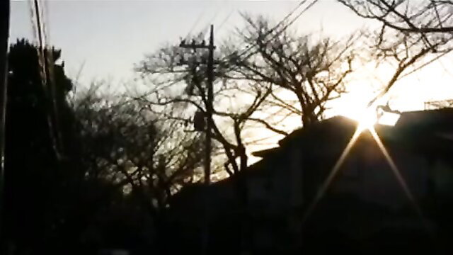Silhouette of nude woman at sunset with trees and wires, father-in-law scene