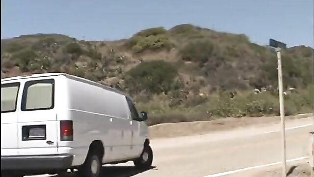 White van parked on scenic coastal road with hills and bushes