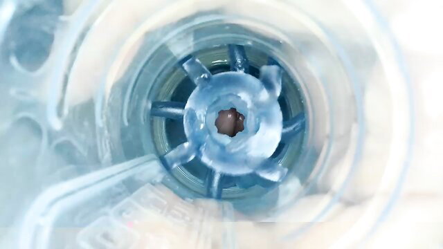 Gay camwhore closeup asshole view with spinning toy insertion