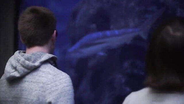 Two twinks viewing blue-lit aquarium in hoodie, gay teaser
