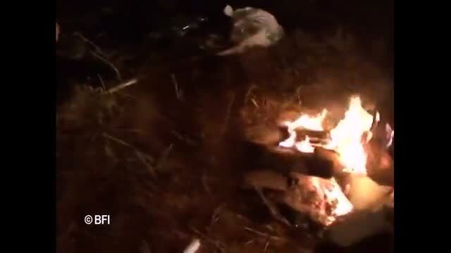 Mature slut gangbanged outdoors by fire at night