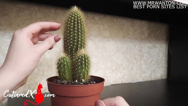 Hand touching phallic cactus plant in suggestive tease