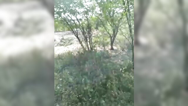 Blurry Tamil aunty outdoor jungle bushes scene
