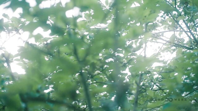 Calita Fire in lush garden outdoor sex scene