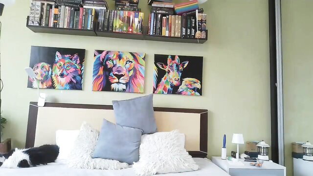Angelika_Ann MyFreeCams bedroom with colorful animal art and cat