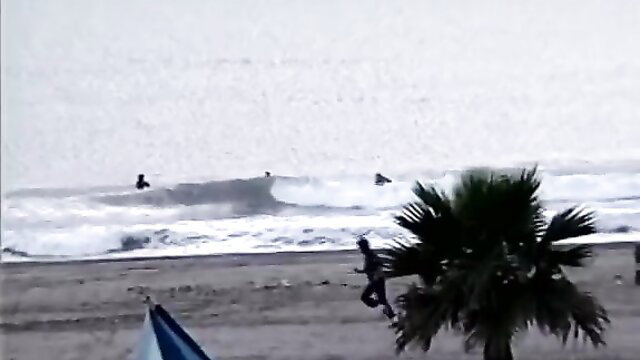 Surfers riding waves at beach with palm trees, classic coastal scene
