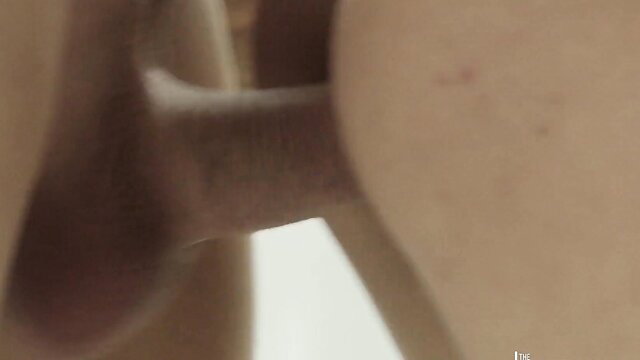 Ebony babe's huge tits pressed on cock in Food Is On The Table by EboBlack