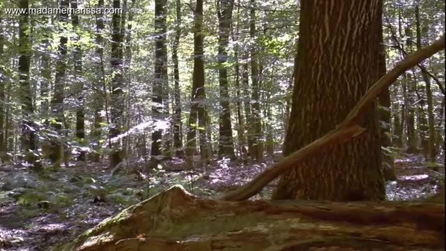 Riding boots in forest mud thumbnail from femdom video