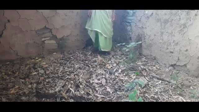 Desi woman in green sari standing in village outdoor scene