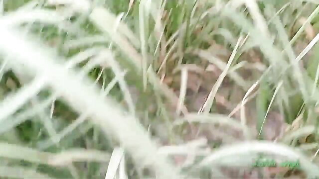 Lalita Singh in outdoor grass, Indian beauty closeup