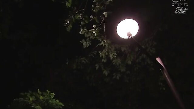 Night street lamp glows over dark bushes in Matsumoto BBC dazzle tease