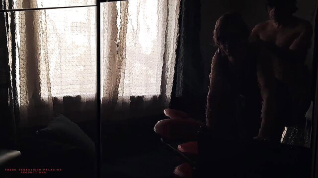 Silhouette couple fuck by window during cleaning surprise