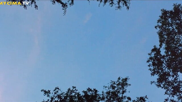 Scenic blue sky with trees Before Sunrise 1995 movie scene