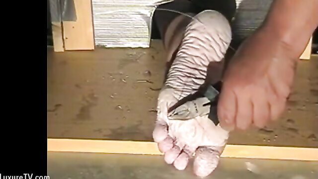 Bianca's wet feet tortured with pliers in intense fetish scene
