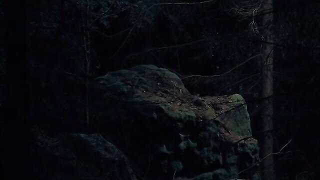Dark forest rock with nude tits in art movie Heart of Transition 2024