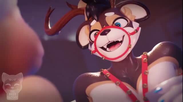 Chloeangelva as sexy reindeer furry in harness gag smiling